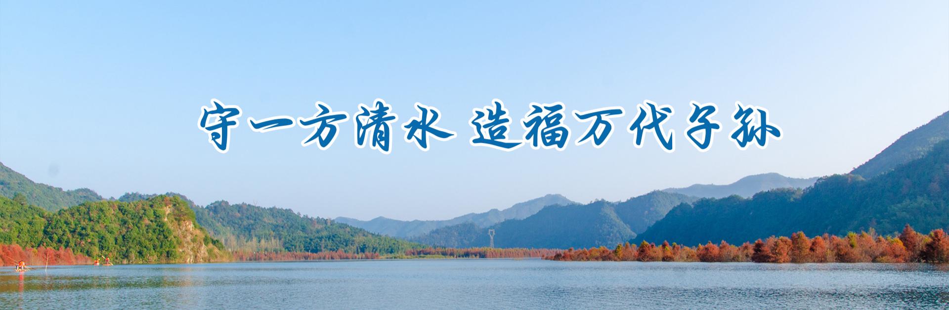 企业概况